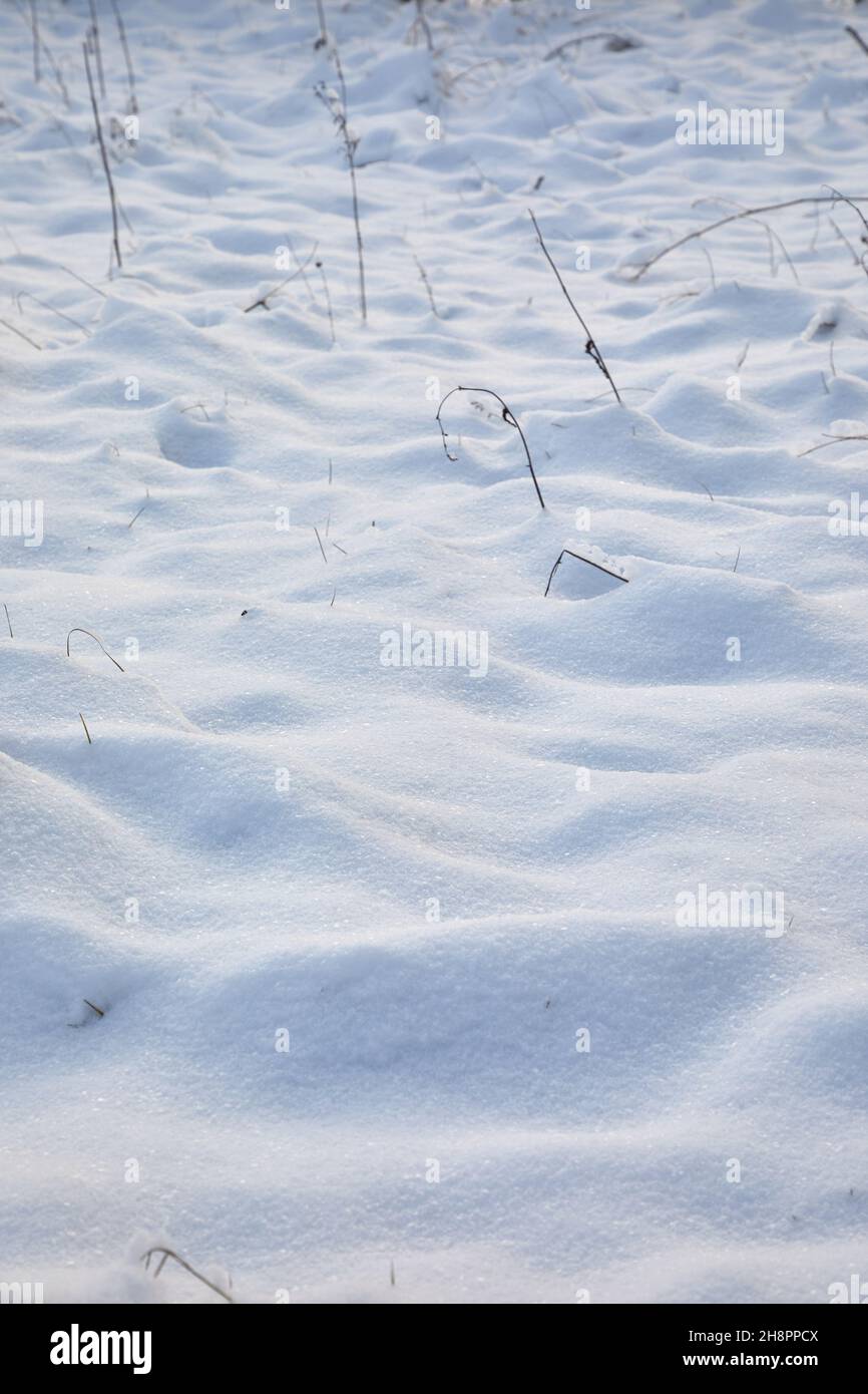 Frischer Schnee Winter Feld Hintergrund Stockfoto