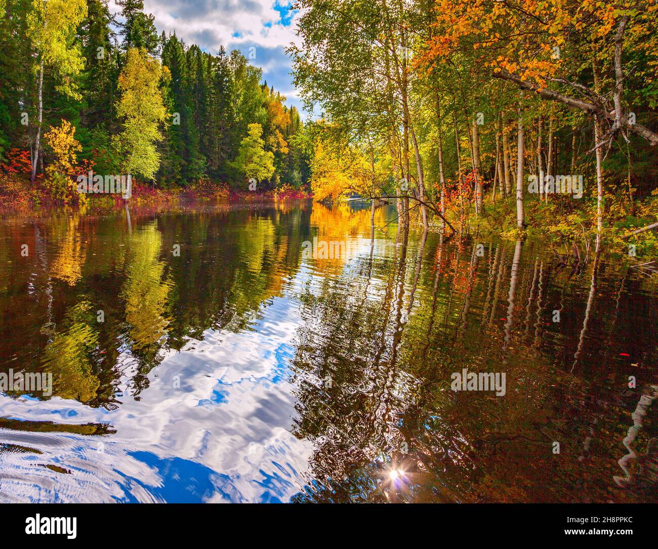 Rote Herbstblätter, die sich in der Wasseroberfläche des Waldsees an einem abgelegenen Ort Sibiriens spiegeln. Dies ist ein beliebter Ort für Fischer. Stockfoto