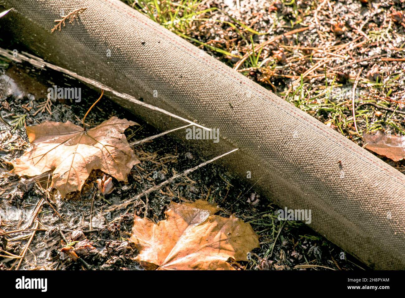 Leckage in der Verbindung der Rohre zum Pumpen von Wasser aus dem Teich. Ein Loch in einem Löschschlauch, aus dem Wasser unter Druck fließt. Stockfoto