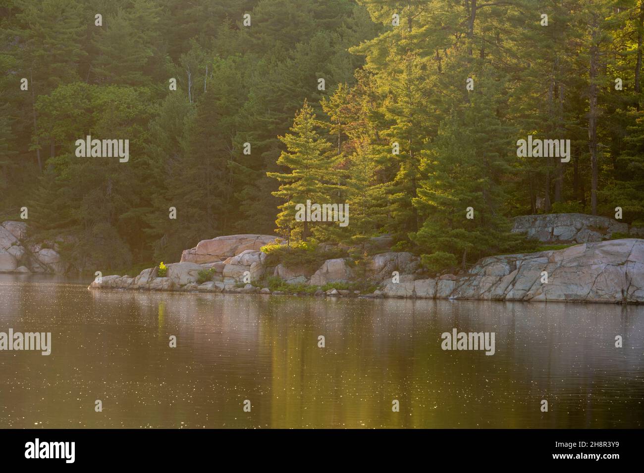 Reflections in George Lake, Killarney Provincial Park, Killarney, Ontario, Kanada Stockfoto