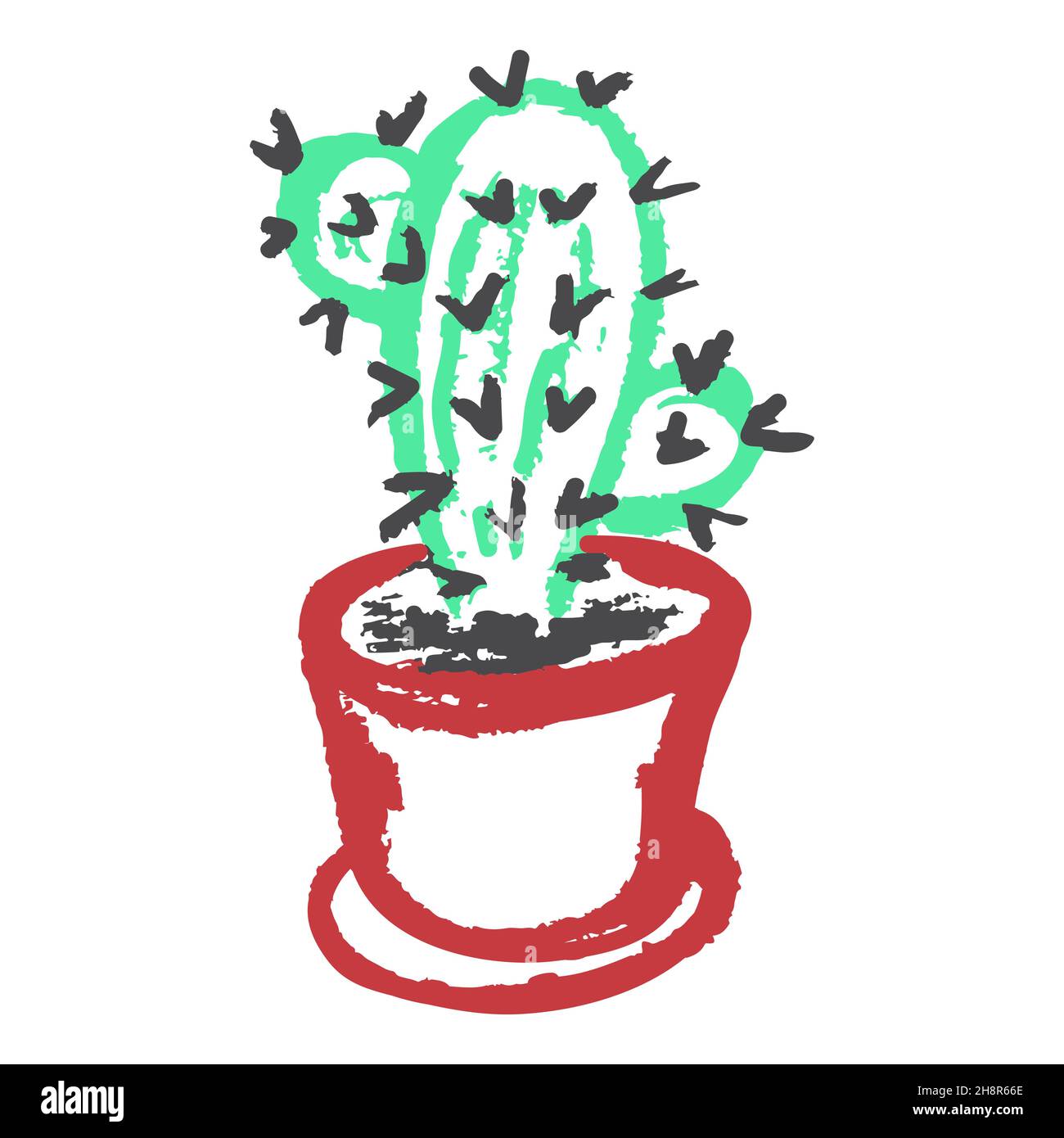 cowboy kaktus kaufen Euphorbia Ingens 
