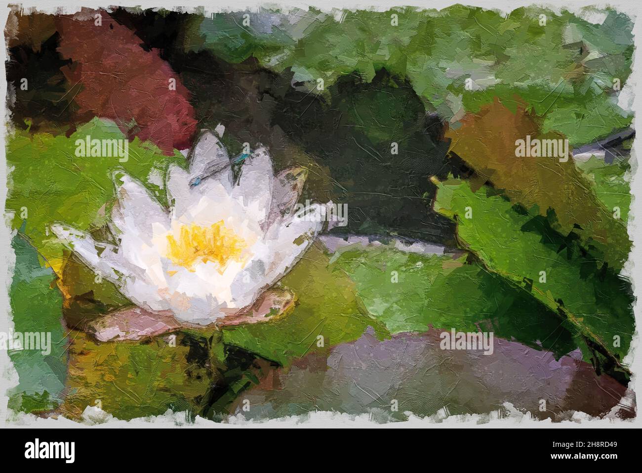 Blume der weißen Seerose in einem Teich, mehrfarbige Textur Malerei Stockfoto