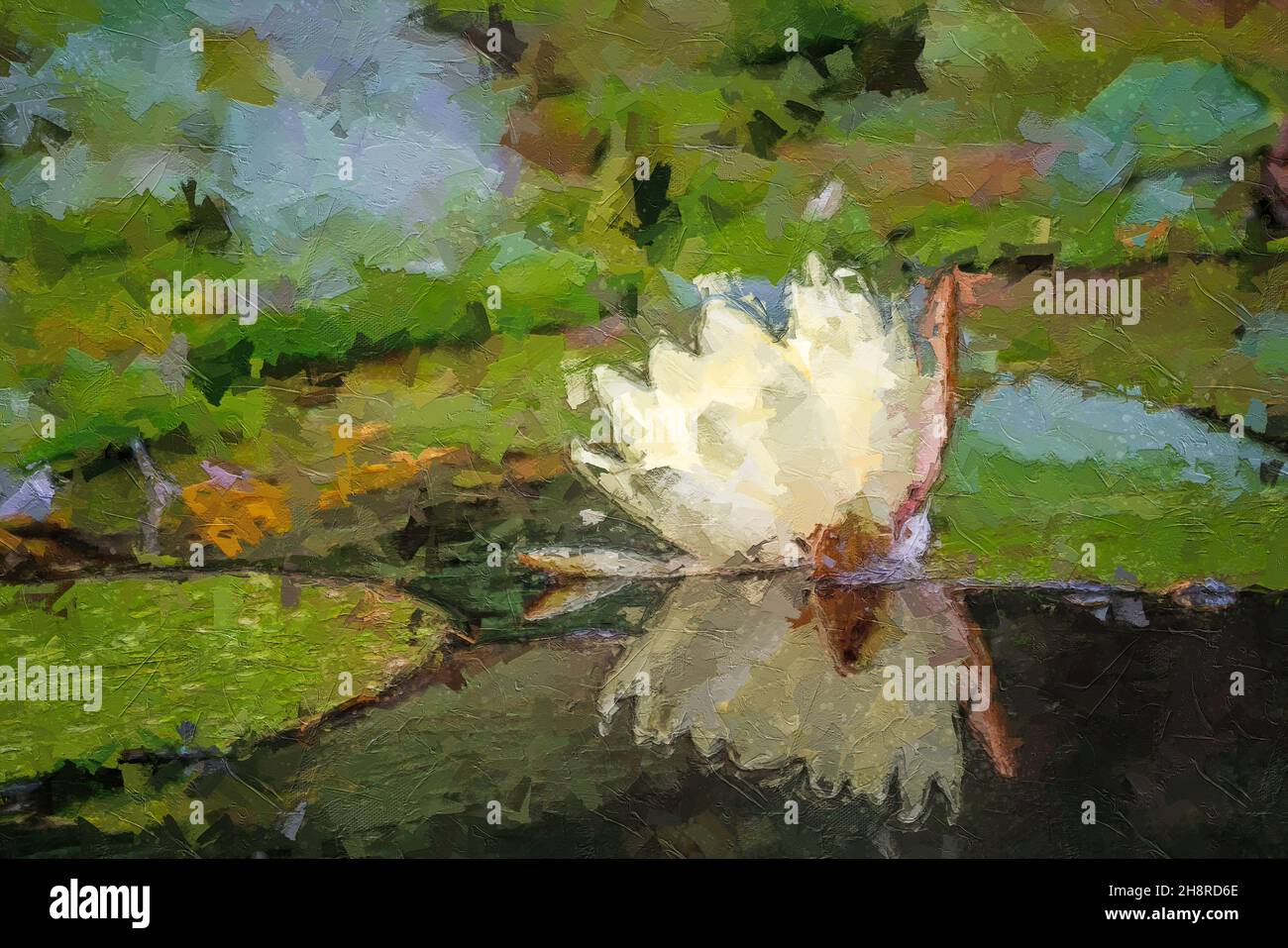 Blume der weißen Seerose in einem Teich, mehrfarbige Textur Malerei Stockfoto