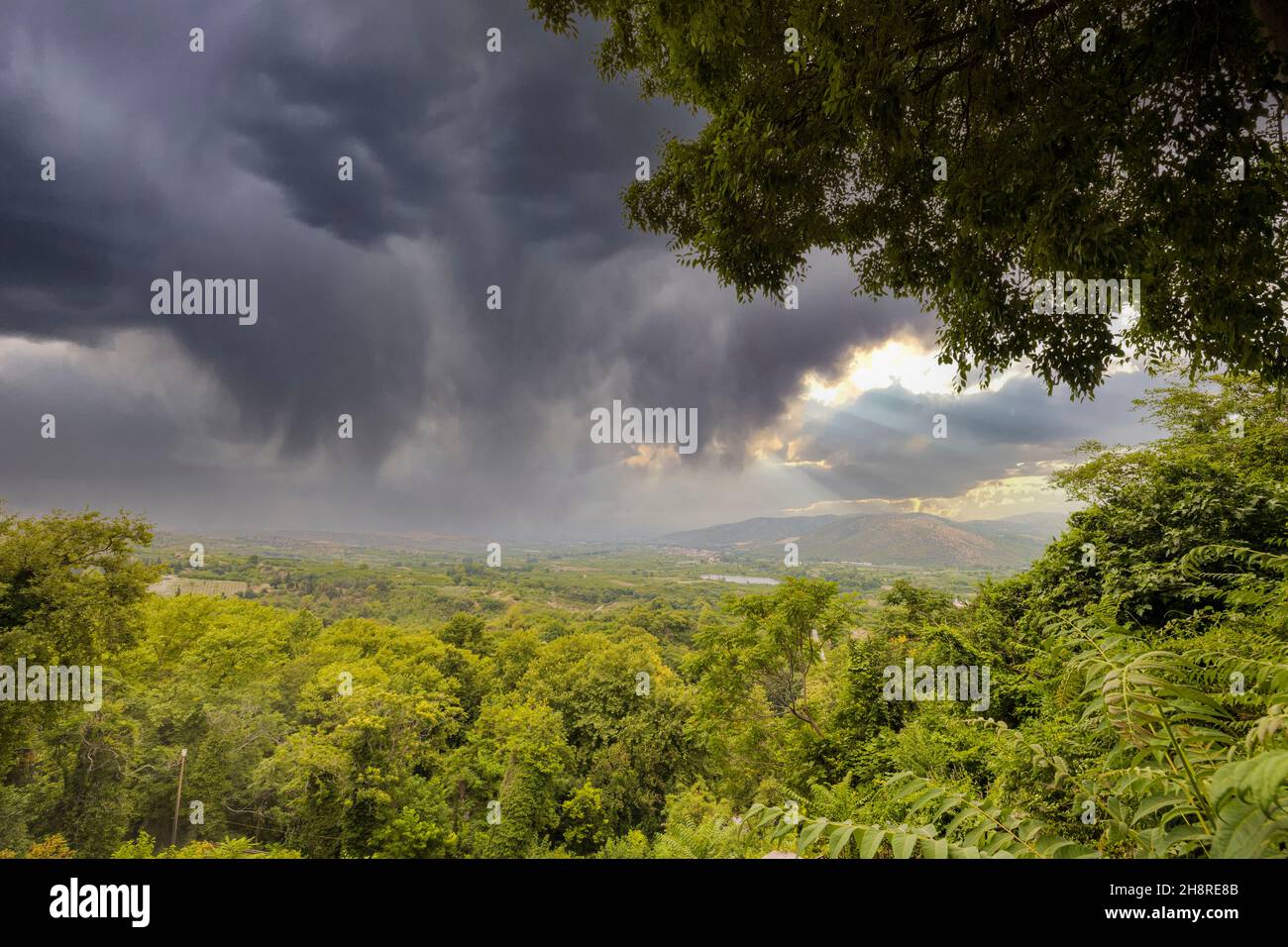 Wunderschöne Aussicht auf die grauen Wolken des Gewitters über grünen Baumkronen. Griechenland. Stockfoto