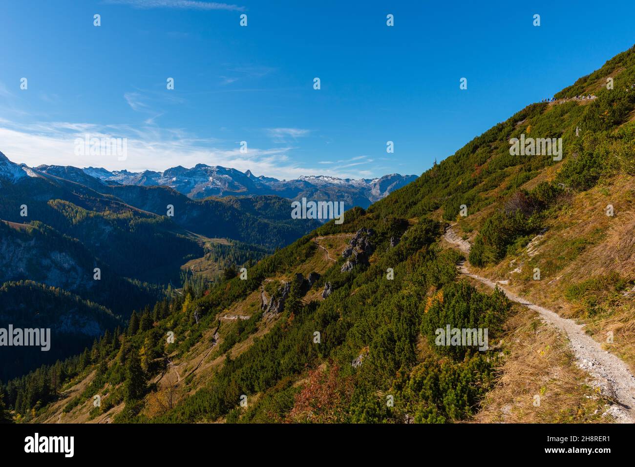 Blick auf und vom Jenner Hochplateau ca. 1800m m ü.d.M., Bayerische Alpen, Oberbayern, Süddeutschland Stockfoto