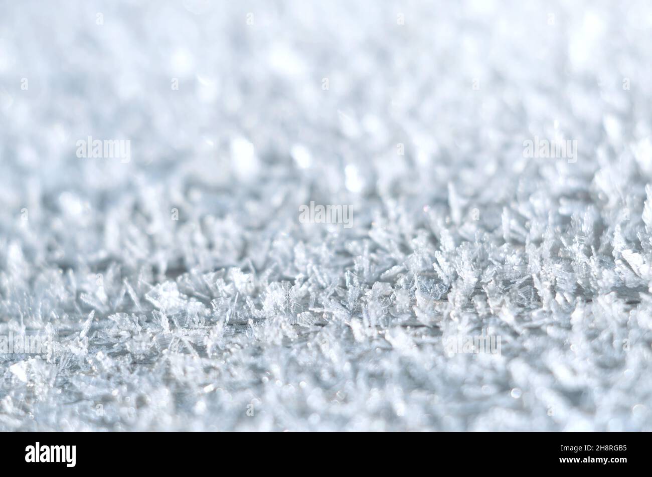 Extreme Nahaufnahme von Eiskristallen oder Reif am frühen Morgen. Kann als frostiger Winterhintergrund mit Kopierplatz verwendet werden. Sehr kurze Tiefe des Fies Stockfoto