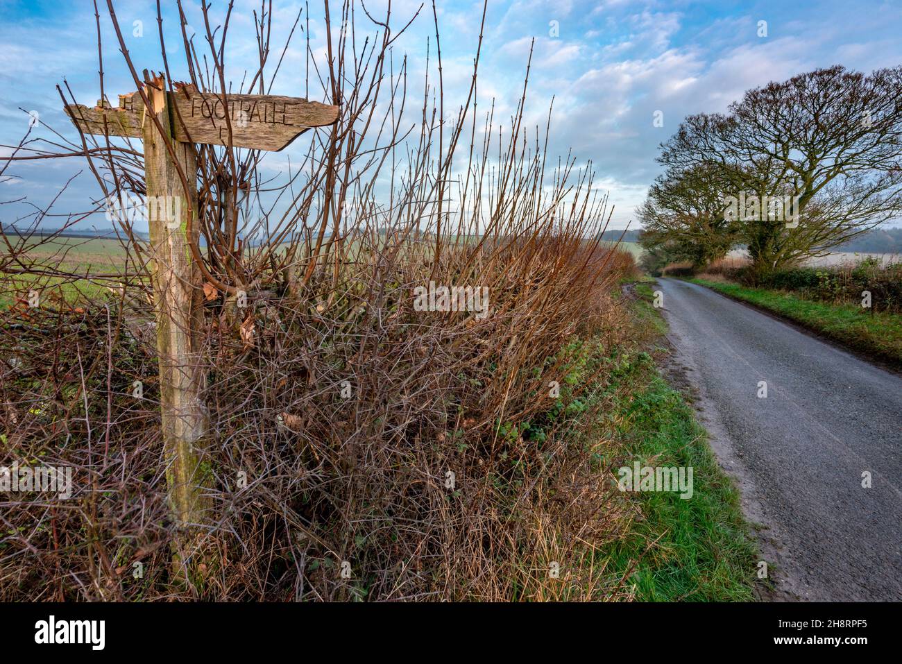 Auf einer schmalen Landstraße, typisch britischer Winter nahe Sonnenuntergang, markiert einen Fußweg, der durch eine Öffnung über Felder und Ackerland führt. Stockfoto