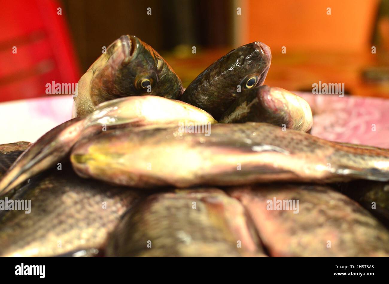 Frische Tilapia-Fische sind wunderschön angerichtet Stockfoto