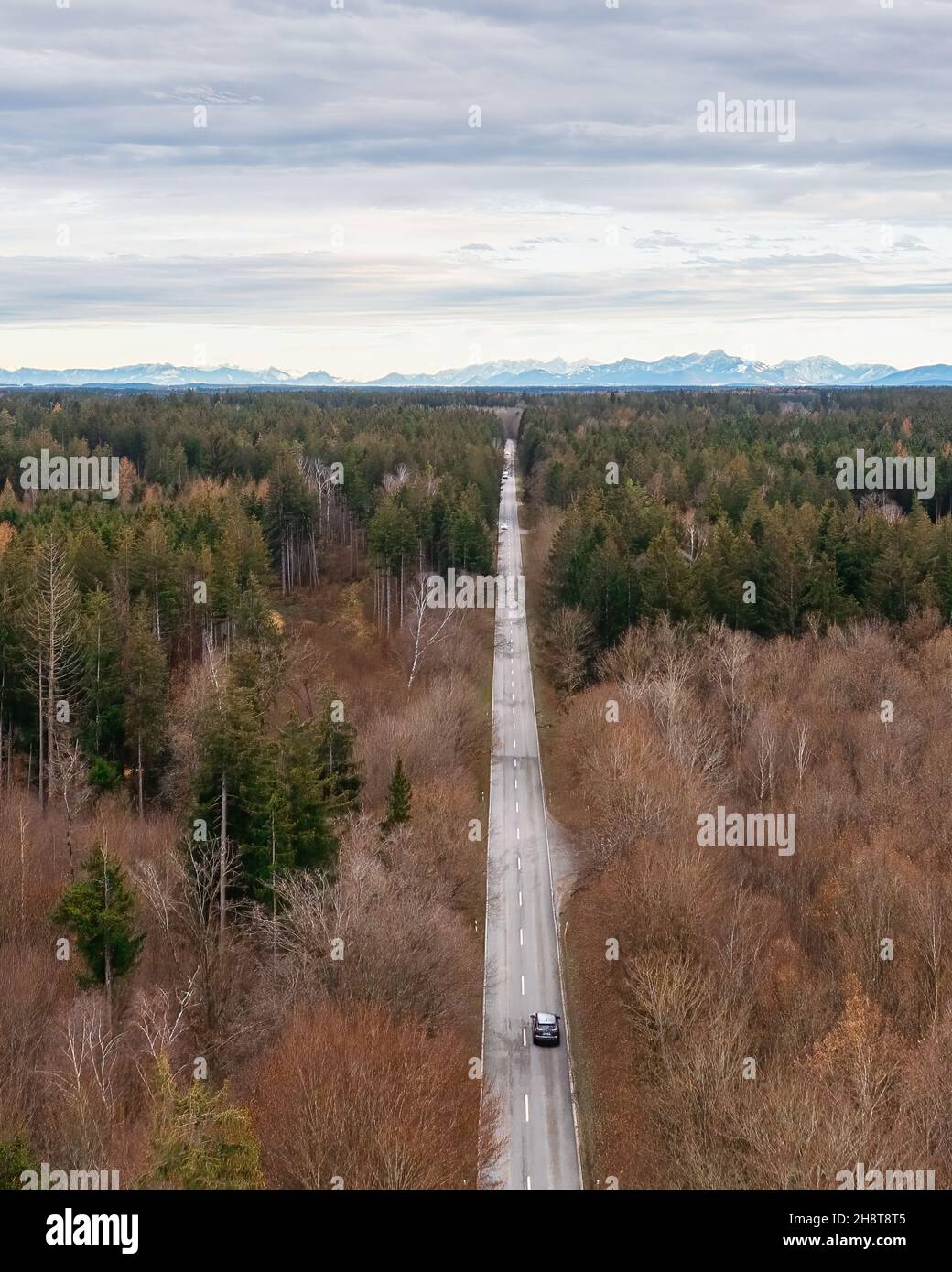 Auf der Straße mit dem Auto durch weiten Wald zu den Bergen im Hintergrund fahren. Stockfoto