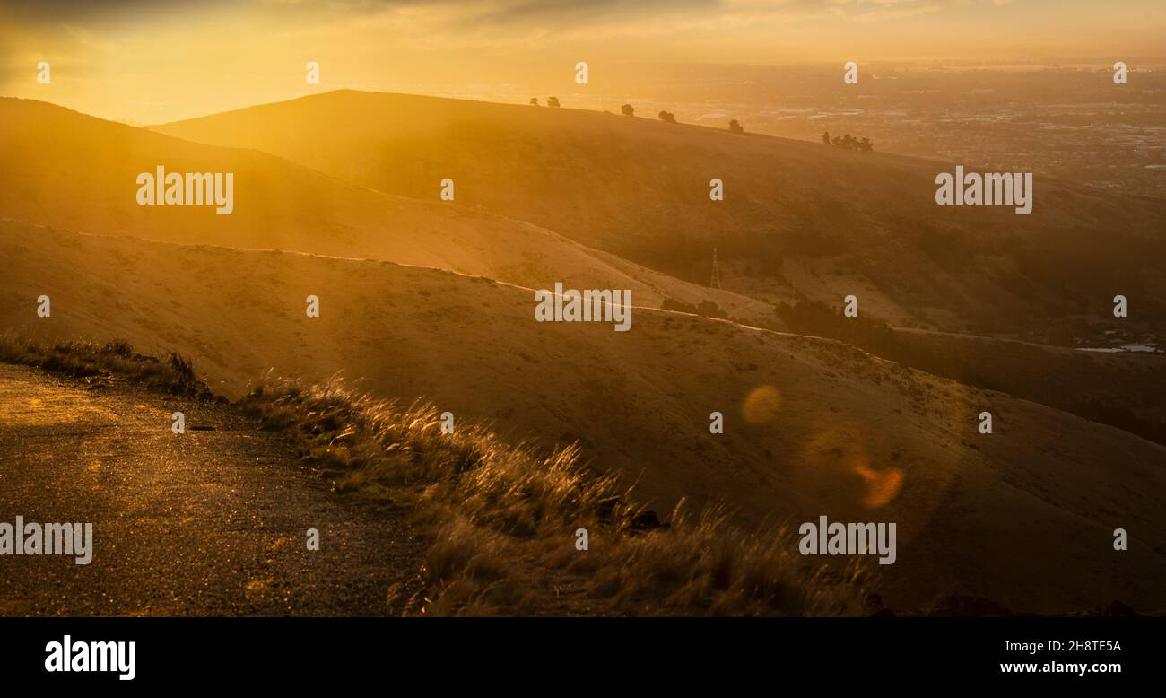 Goldener Sonnenuntergang in Port Hills, Canterbury, Südinsel Neuseelands Stockfoto