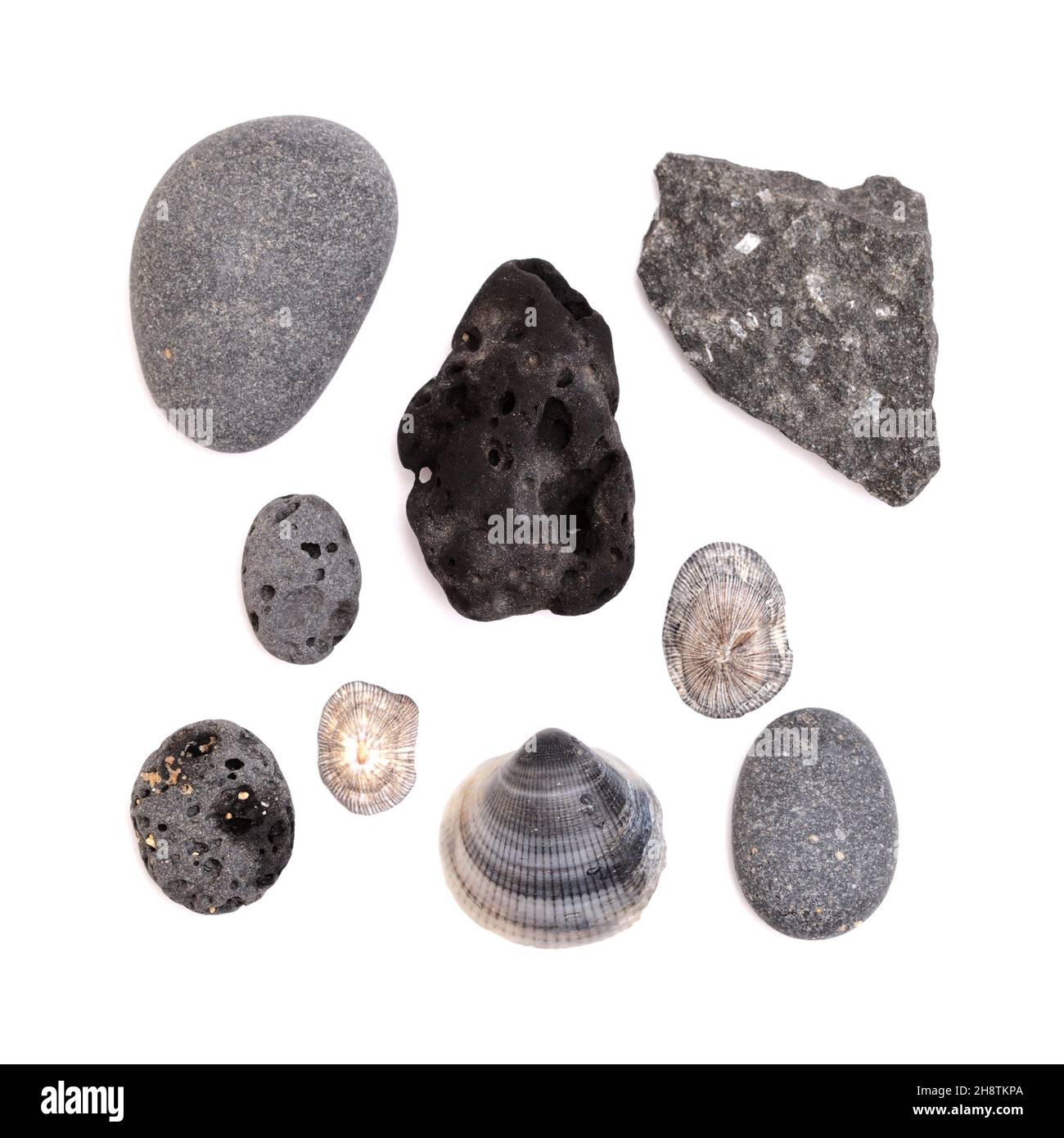 Flache Laienanordnungen aus Kieselsteinen und Muscheln, die an den Stränden von Gran Canaria auf weißem Grund gesammelt wurden Stockfoto