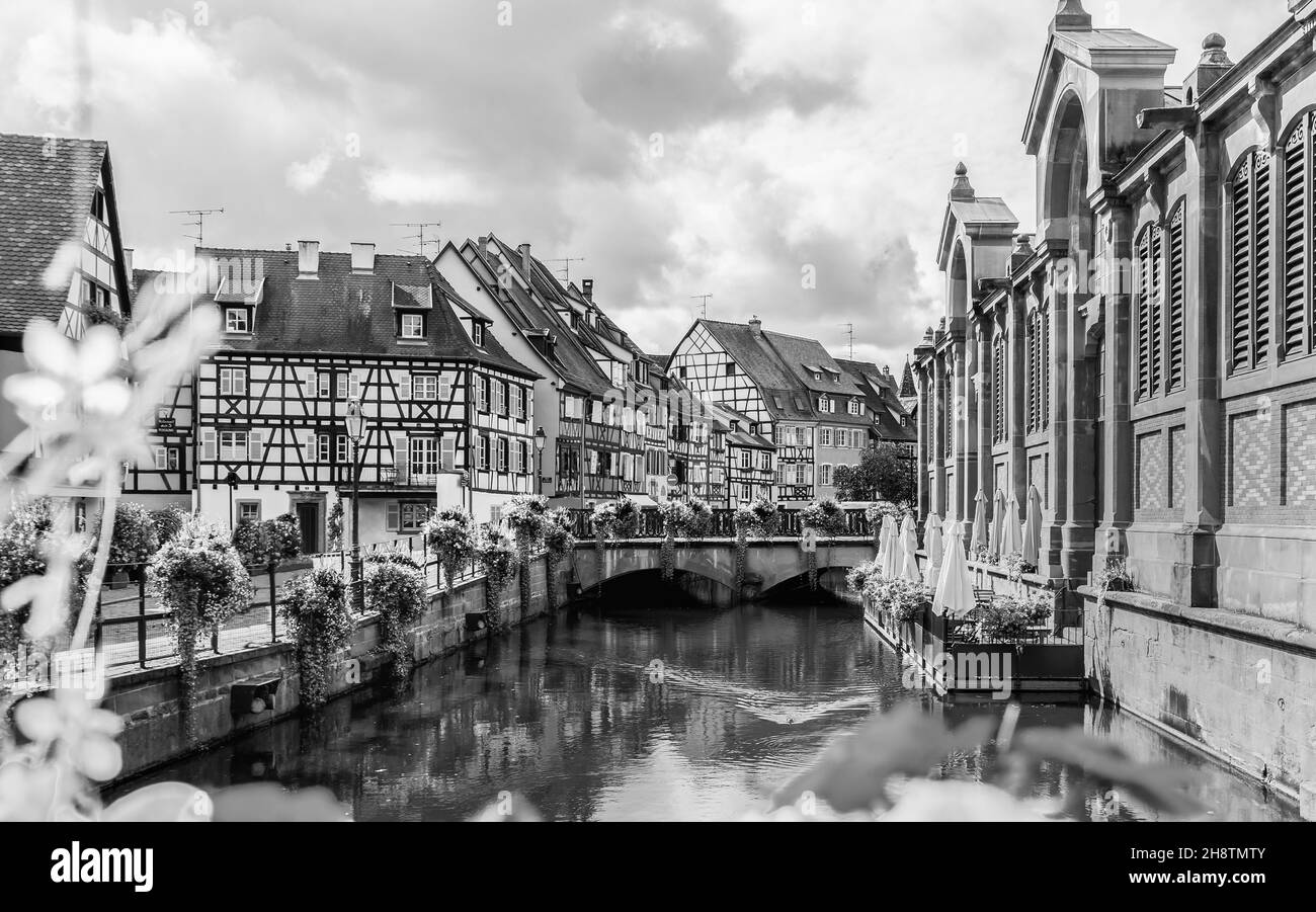 Schöne Aussicht auf Colmar Stadt mit Blumen im Wasserkanal und traditionellen Fachwerkhäusern im Elsass, Frankreich.Touristenattraktion in Frankreich.Schwarz Stockfoto