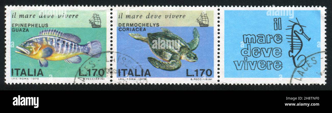ITALIEN - UM 1978: Stempel gedruckt von Italien, zeigt Riesenzackenbarsch, Lederschildkröte und Seepferd, um 1978 Stockfoto