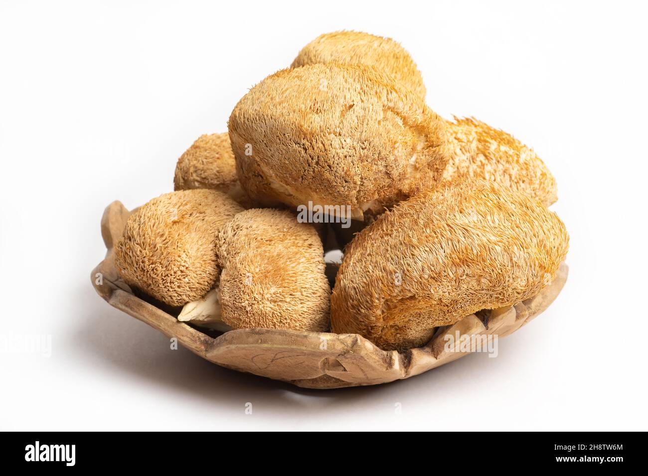 Getrocknete Löwenmähnchen oder Hericium Erinaceus werden auch Bartzahnpilz, Affenkopfpilz, Yamabushitake genannt. Stockfoto