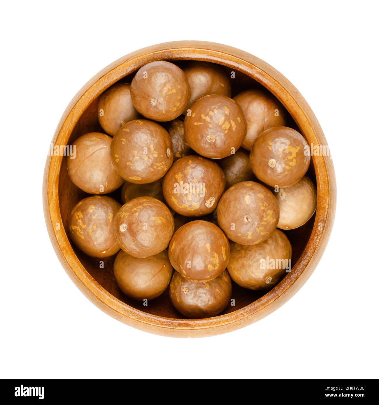 Macadamianüsse in ihren Schalen, in einer Holzschale. Gruppe getrockneter, ungeschälter Nüsse, auch bekannt als Queensland, Busch, Maroochi, Kugel und Hawaii Nüsse. Stockfoto