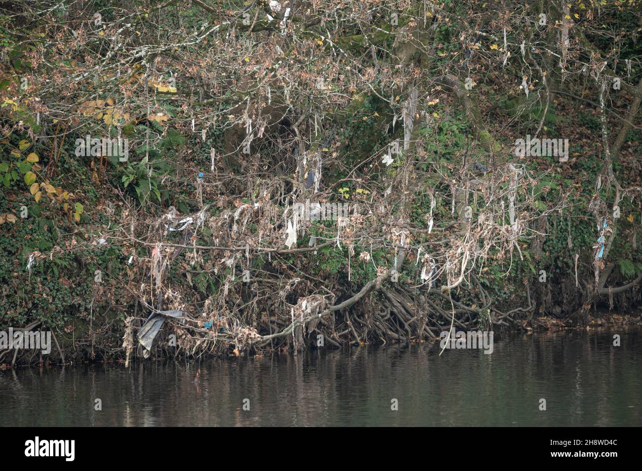 Kunststoffreste, die sich auf Braknhes verfangen haben Stockfoto