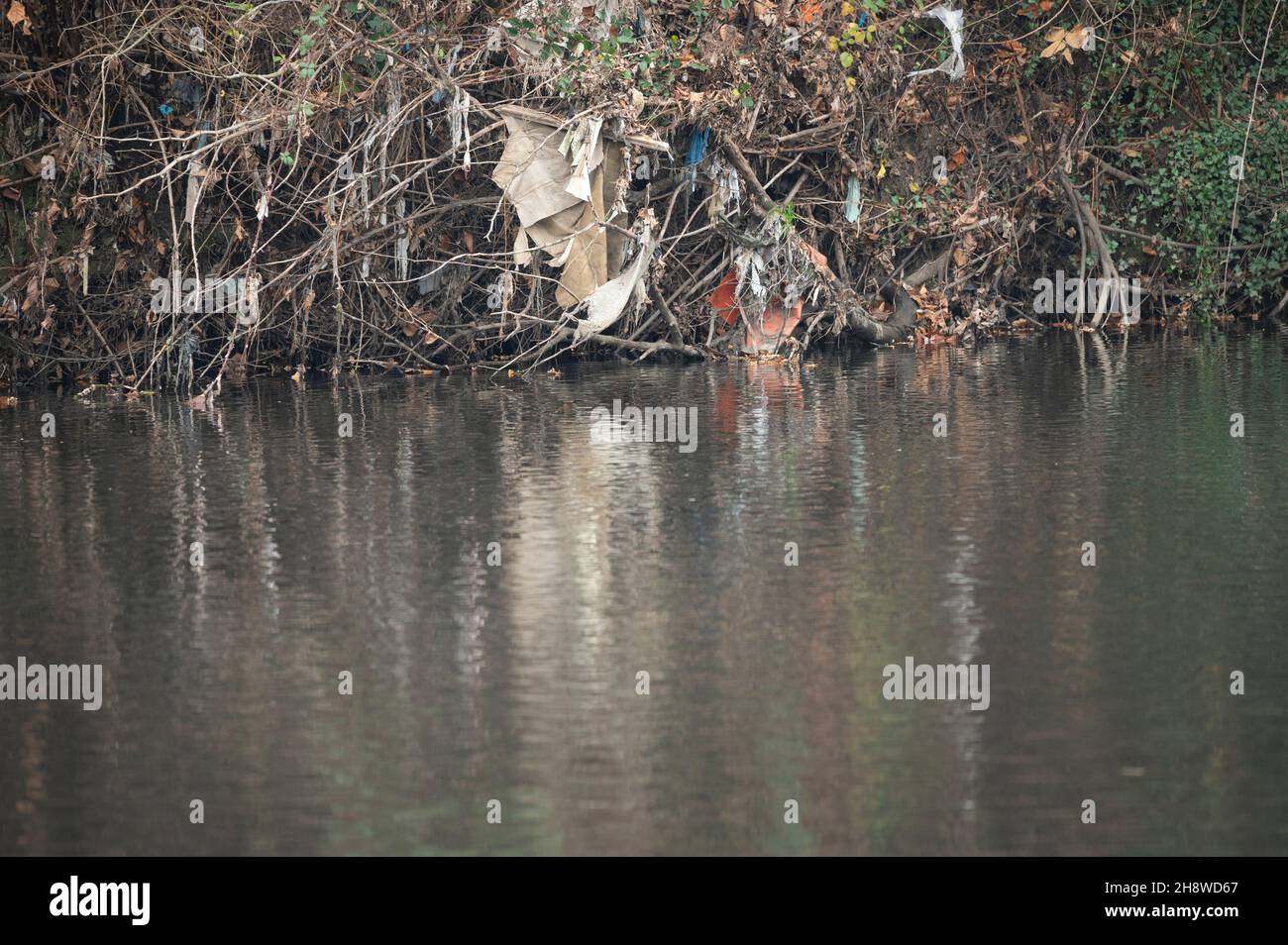 Kunststoffreste, die sich auf Braknhes verfangen haben Stockfoto
