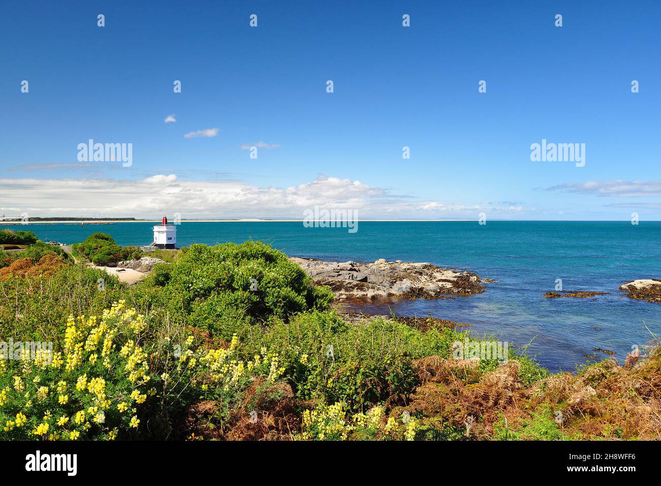 Meerblick vom felsigen Strand in Bluff, Neuseeland. Bluff ist eine Stadt und ein Seehafen in der Region Southland, an der Südküste der Südinsel von N Stockfoto