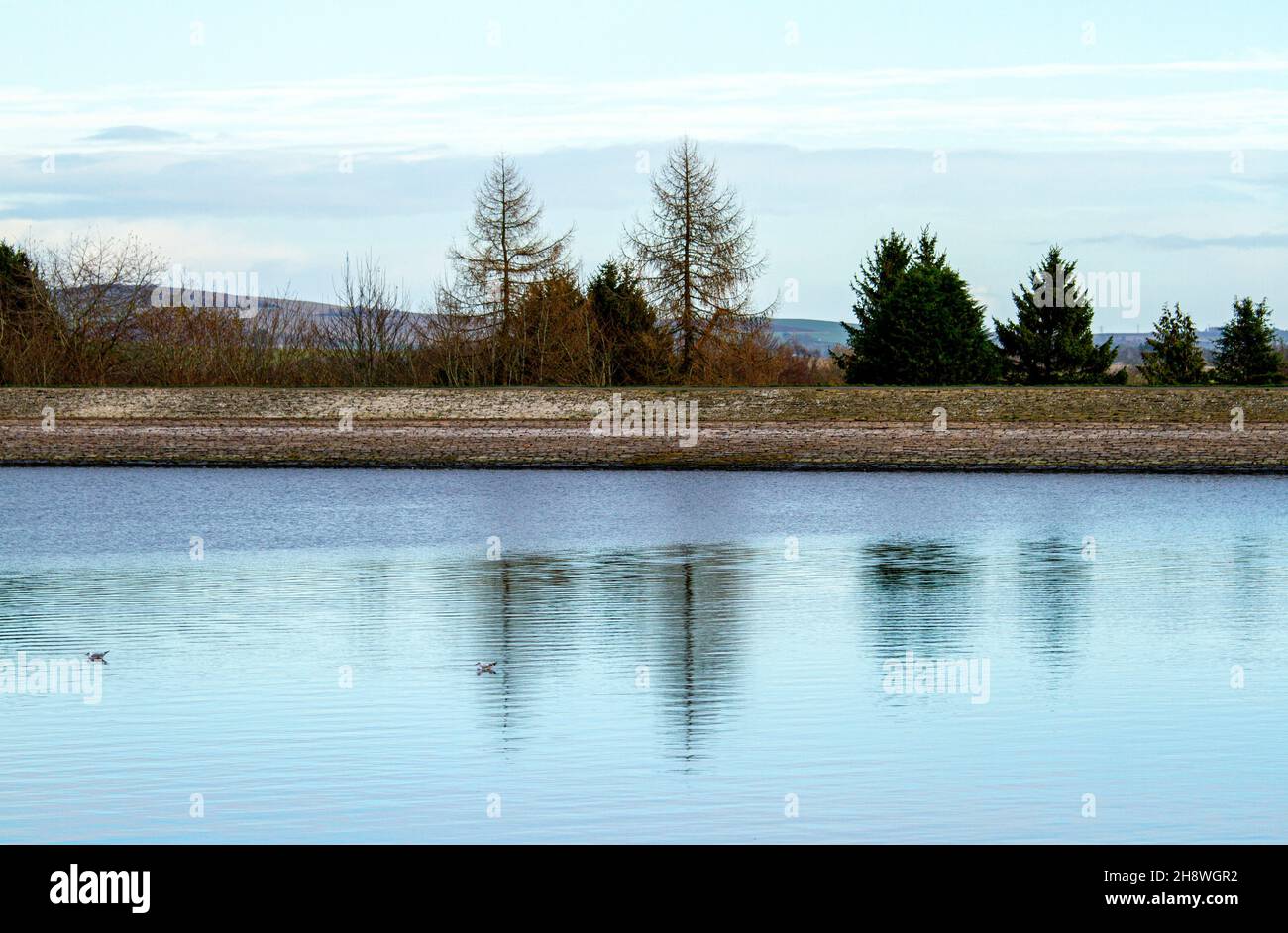 Dundee, Tayside, Schottland, Großbritannien. 2nd Dez 2021. Wetter in Großbritannien. Das Wetter in Nordost-Schottland ist im Dezember bitterkalt mit Temperaturen von bis zu 3 Grad Der Clatto Country Park im ländlichen Dundee bietet aufgrund des Eises, das sich auf dem Park-Teich entwickelt hat, eine lebhafte Winterstimmung. Kredit: Dundee Photographics/Alamy Live Nachrichten Stockfoto