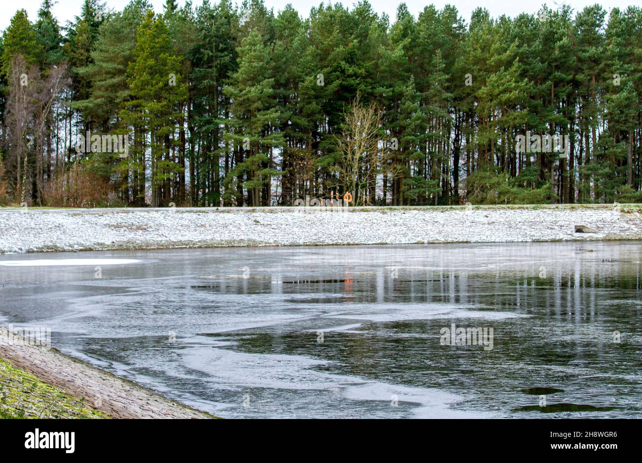 Dundee, Tayside, Schottland, Großbritannien. 2nd Dez 2021. Wetter in Großbritannien. Das Wetter in Nordost-Schottland ist im Dezember bitterkalt mit Temperaturen von bis zu 3 Grad Der Clatto Country Park im ländlichen Dundee bietet aufgrund des Eises, das sich auf dem Park-Teich entwickelt hat, eine lebhafte Winterstimmung. Kredit: Dundee Photographics/Alamy Live Nachrichten Stockfoto