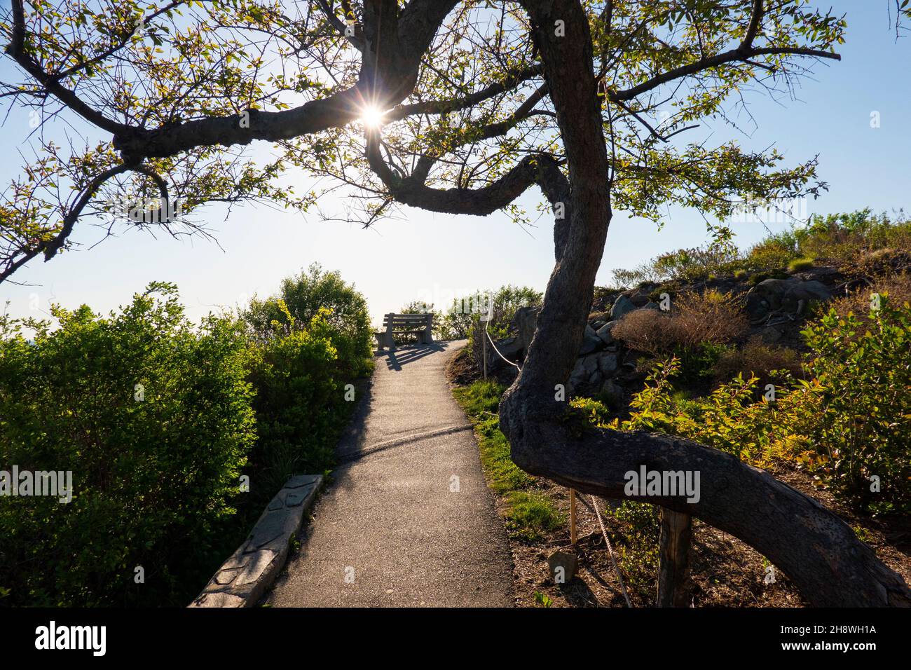 Marginal Way malerische Küstenwanderungen in Ogunquit Maine Stockfoto