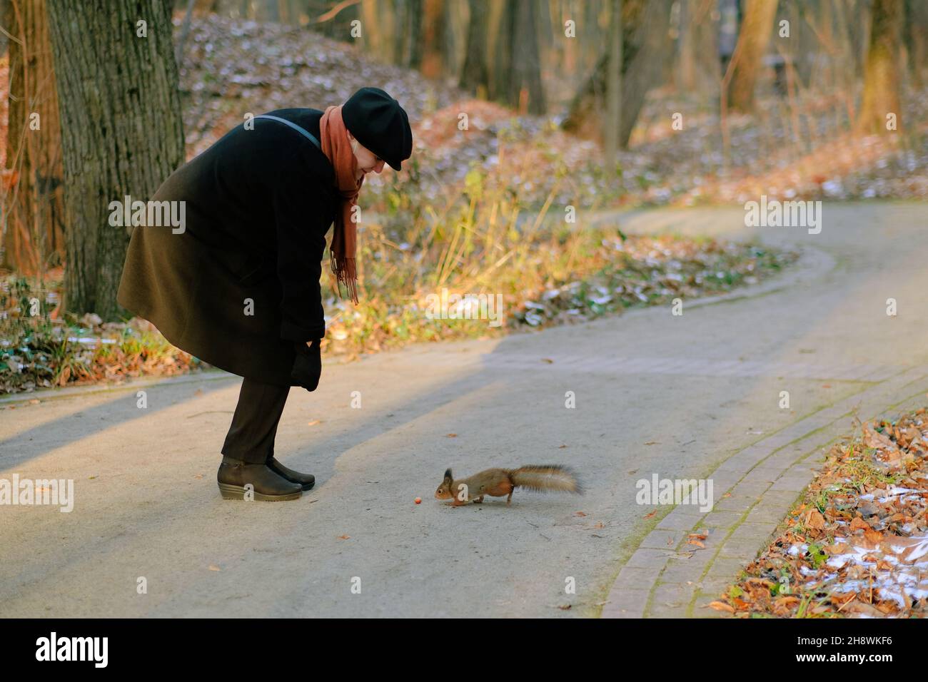 16.11.2021 . Frau spielt mit Eichhörnchen. Eichhörnchen mit einer Nuss. Hochwertige Fotos Stockfoto
