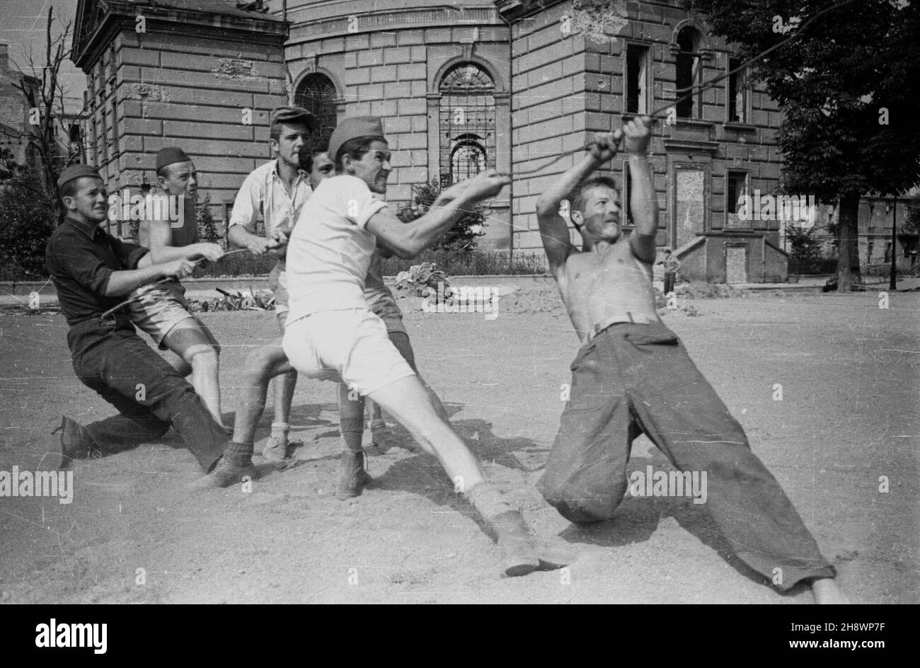 Warszawa, 1946. Porz¹dkowanie terenu przy placu Ma³achowskiego. NZ. m³odzie¿ usuwa uschniête drzewo. W ie koœció³ ewelgelicko-augsburski pw. Œwiêtej Trójcy PP PAP/Stanis³aw D¹browiecki Warschau, 1946. Trümmer vom Malachowskiego-Platz entfernen. Die Jugend zieht einen verdorrten Baum herunter. Im Hintergrund die Heilig-Dreifaltigkeit Evangelisch-Augsburger Kirche. pp PAP/Stanislaw Dabrowiecki Stockfoto