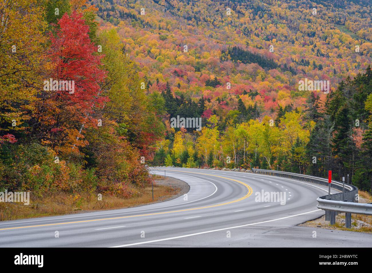 Highway 16 und Herbstlaub, Highway 16 in der Nähe von Pinkham Notch, New Hampshire, USA Stockfoto