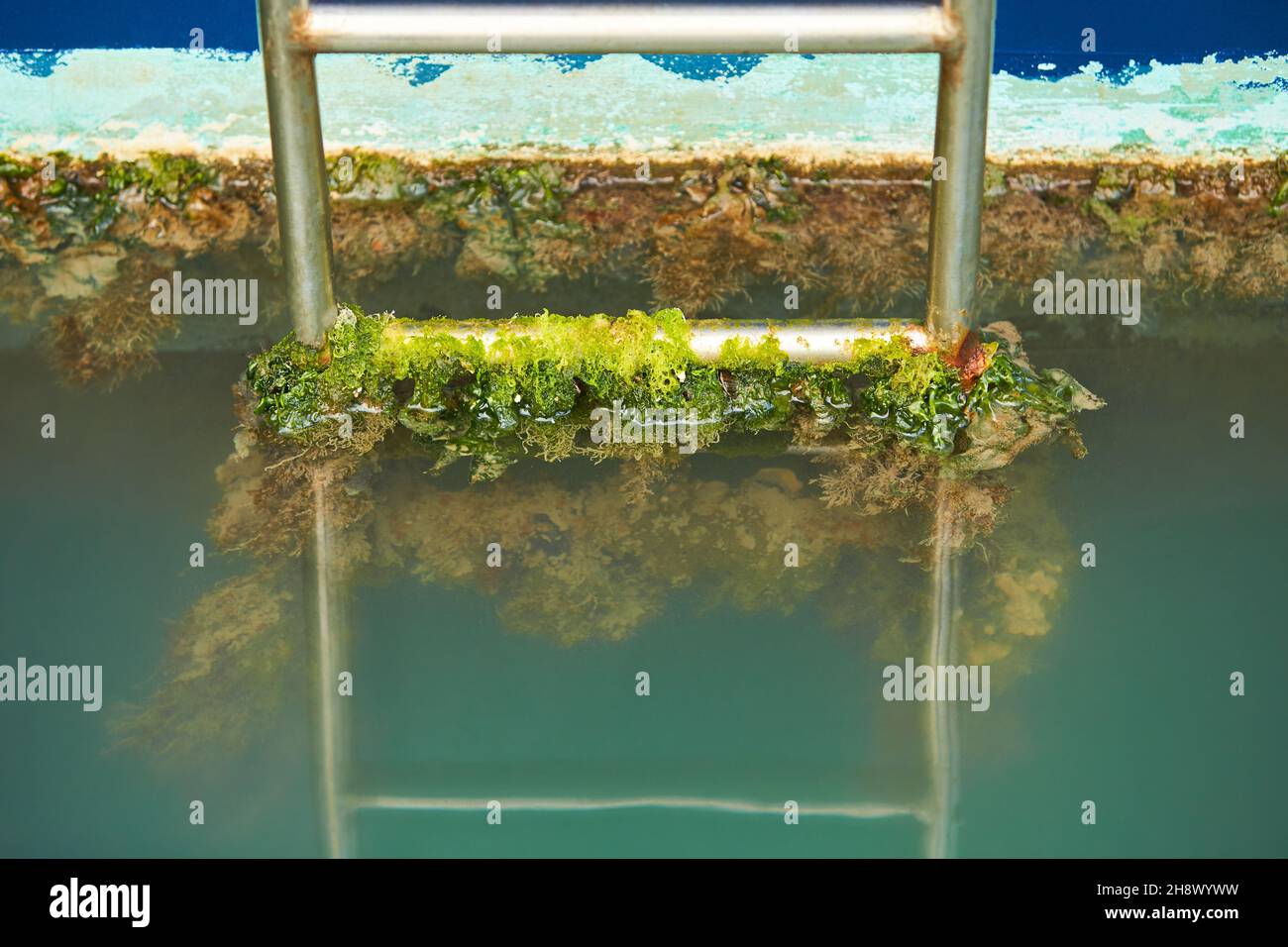 Weichtiere, überwucherter Schiffsboden. Schalentiere auf dem Rumpf des Schiffes. Stockfoto