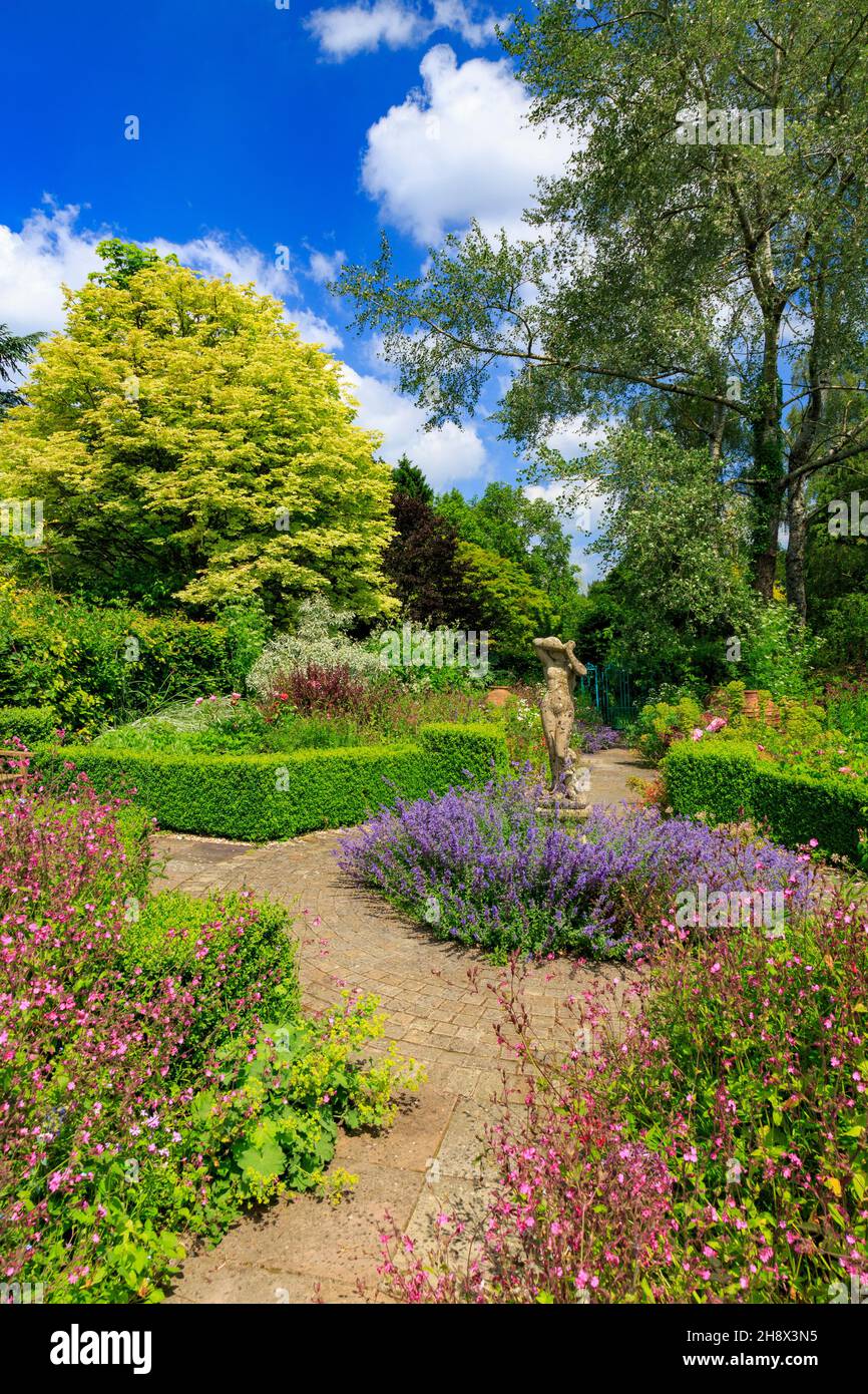 Der Rosengarten in Burrow Farm Garden – von Mary Benger seit 1966 in Devon, England, Großbritannien, geschaffen Stockfoto