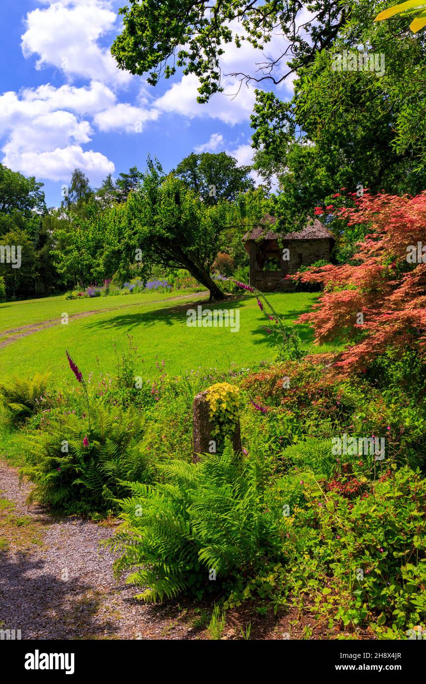 Eine farbenfrohe Sommergrenze, die von Mary Benger im Burrow Farm Garden, Devon, England, Großbritannien, geschaffen wurde Stockfoto