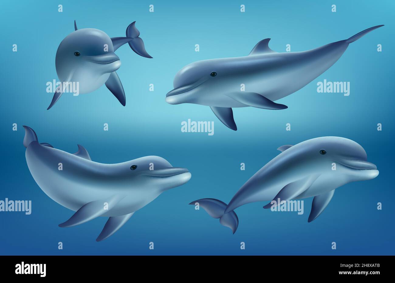Delfine realistisch. Meer- oder Meerestiere schwimmen Fische mit Flossen tiefblaues Meer Unterwasserfauna anständige Vektor realistische Delphine Sammlung Stock Vektor