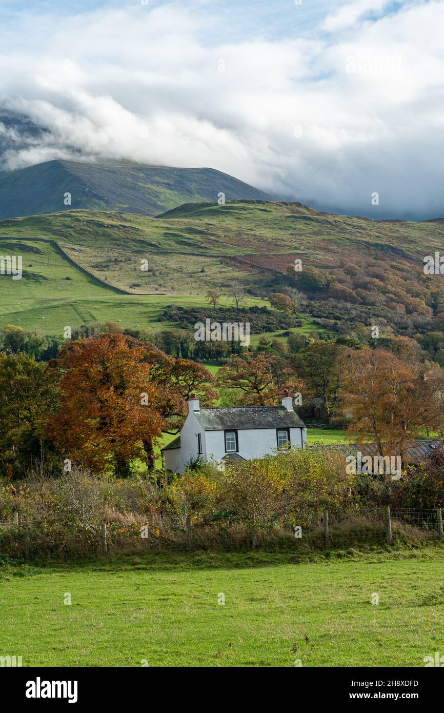 Herbstansicht von Fjells und einem Landhaus in der Nähe von Bassenthwaite im Lake District National Park, Cumbria, England, Großbritannien, im Herbst oder November Stockfoto
