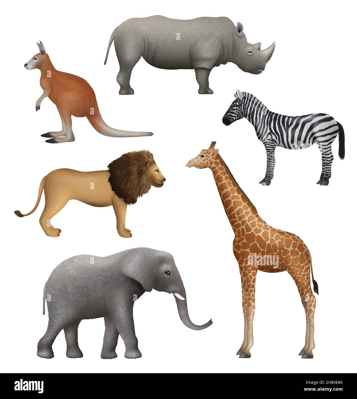 Wild realistische Tiere. Elefant Känguru Löwe Zebra Nashorn african Safari Sammlung anständige Vektor-Illustration Stock Vektor