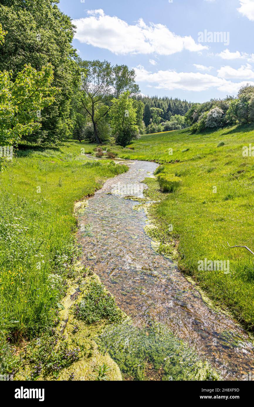 Ein Cotswold-Bach im Sommer - der Hilcot Brook, Hilcot, Gloucestershire Großbritannien Stockfoto