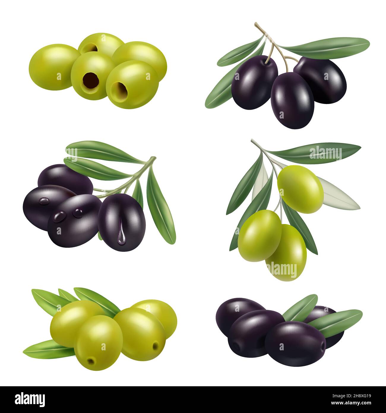 Grüne Oliven. Nahaufnahme griechenland authentisches Essen Oliven Zweige Produkte Zutaten anständige Vektor Illustrationen Set Stock Vektor