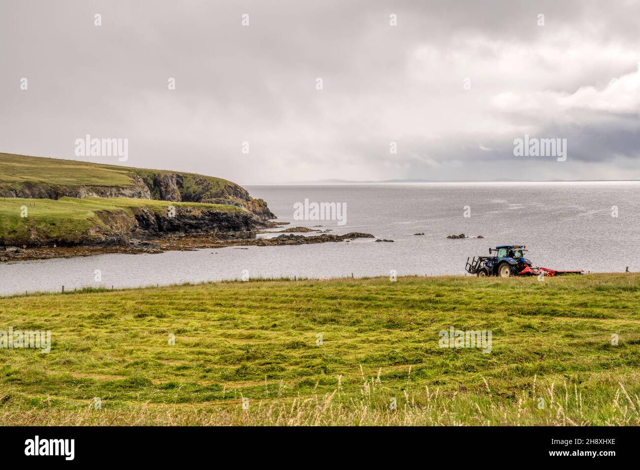 Landwirtschaft auf Fetlar, Shetland-Inseln. Ein Traktor, der auf einem Feld an der Küste arbeitet. Stockfoto
