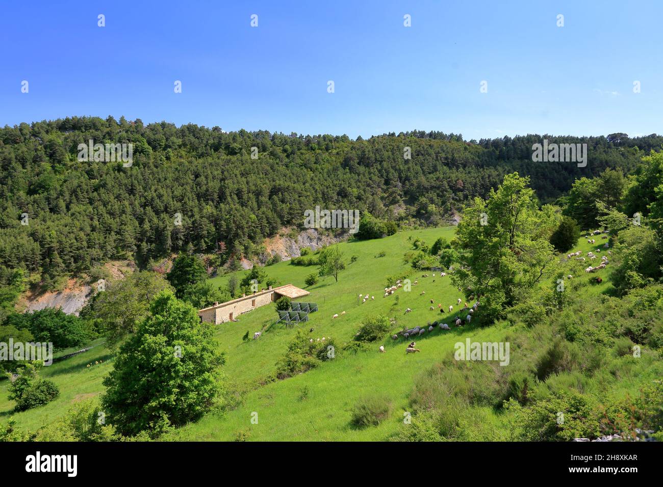 Arriere Pays Grassois, Parc regional des Prealpes d'Azur, Alpes Martimes, 06, Region sud Stockfoto