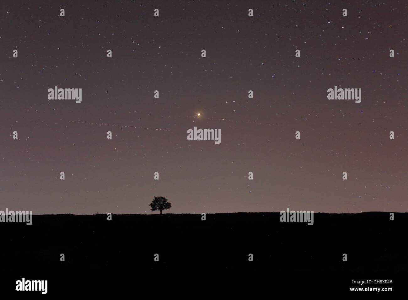 Sternenhimmel in Caussols mit Mars-Planet, Parc regional des Prealpes d'Azur, Alpes Martimes, 06, Region sud Stockfoto