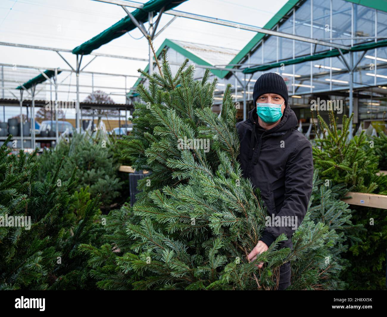 Mann mit einer medizinischen Maske auf seinem Gesicht wählt Weihnachtsbaum. Verkäufer von Weihnachtsbaum Stockfoto