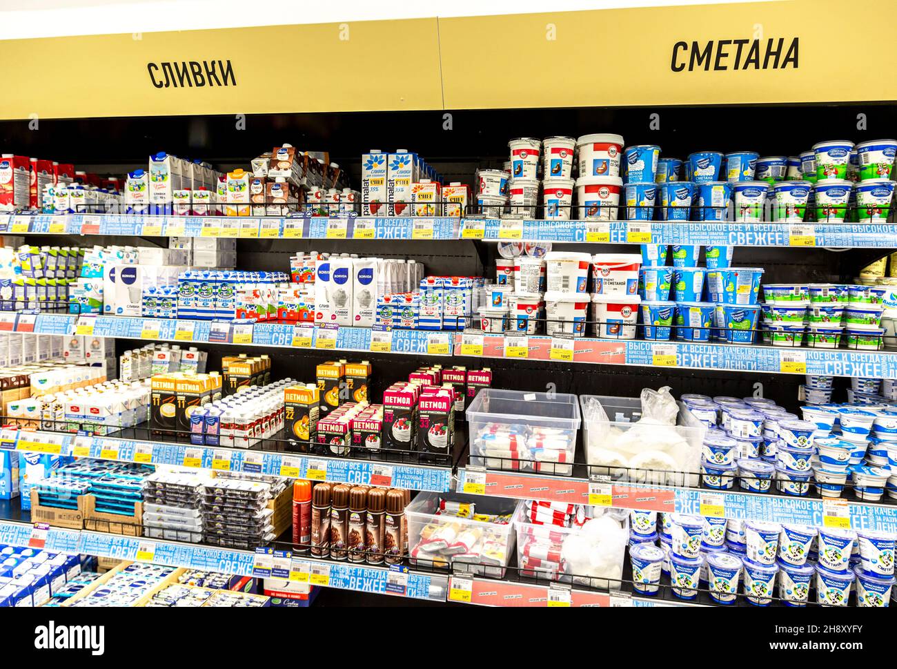 Novgorod, Russland - 30. August 2021: Verschiedene frische Milchprodukte bereit zum Verkauf in der Kette Supermarkt. Text auf Russisch: Rahm, Sauerrahm Stockfoto