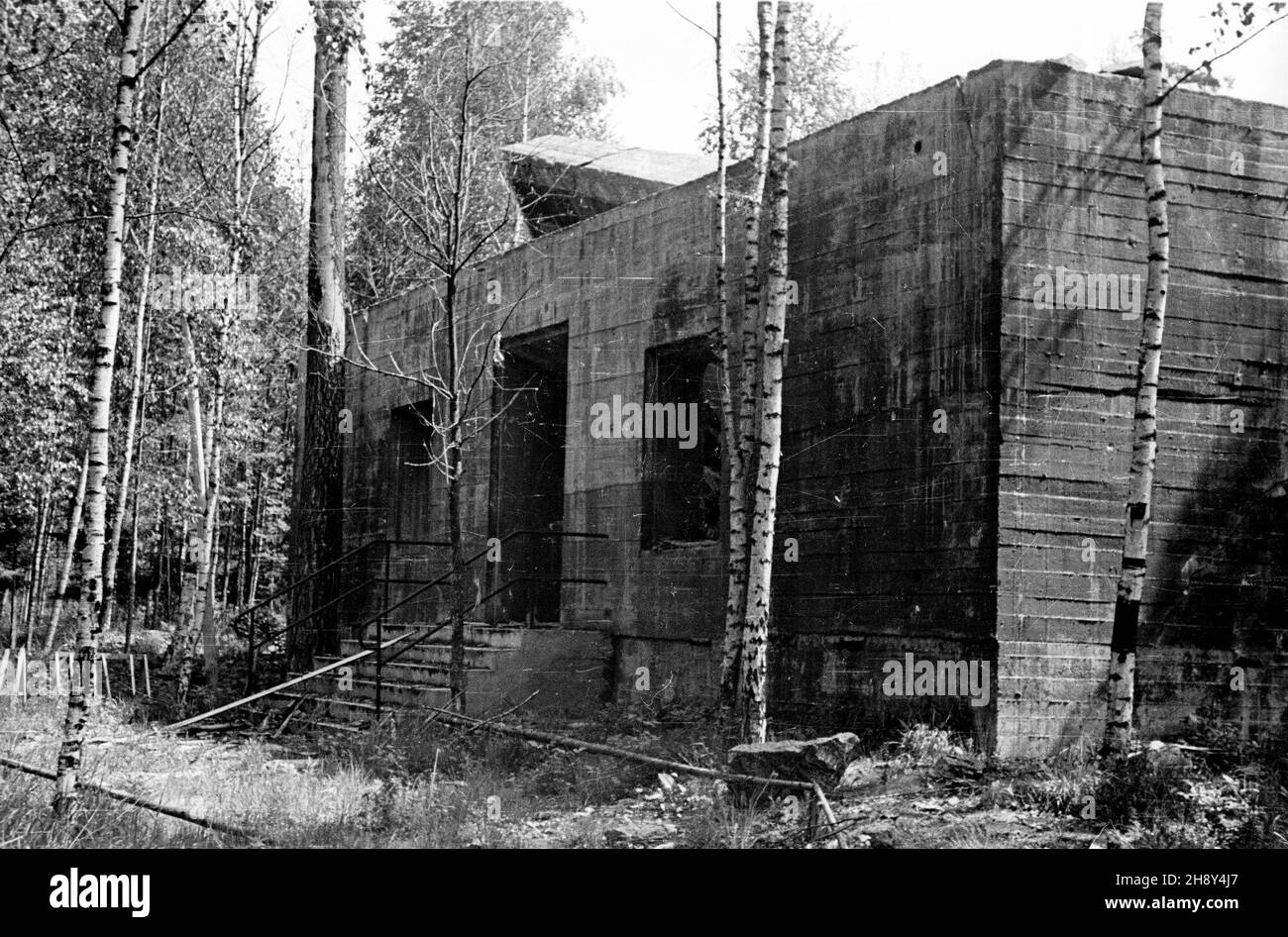 Kêtrzyn, 1946-06-10. W pobli¿U wsi Gier³o¿ (d. Gerlitz), na terenie ufortyfikowanym zwanym Wilczym Szañcem (niem. Wolfsschanze), w latach 1941-1944 mieœci³a siê tajna kwatera g³ówna Adolfa Hitlera i Naczelnego Dowództwa Si³ Zbrojnych III Rzeszy. NZ. Ruiny Bunkra na terenie Wilczego Szañca. pw PAP/Jerzy Baranowski Ketrzyn, 10. Juni 1946. Die Wolfsschanze-Feldzentrale von Adolf Hitler und das Oberkommando der 3rd Reichswehr in der Nähe der Ortschaft Gierloz (Fomer Gerlitz) in den Jahren 1941-1944. Im Bild: Ruinen eines Bunkers an der Wolfsschanze. pw PAP/Jerzy Baranowski Stockfoto