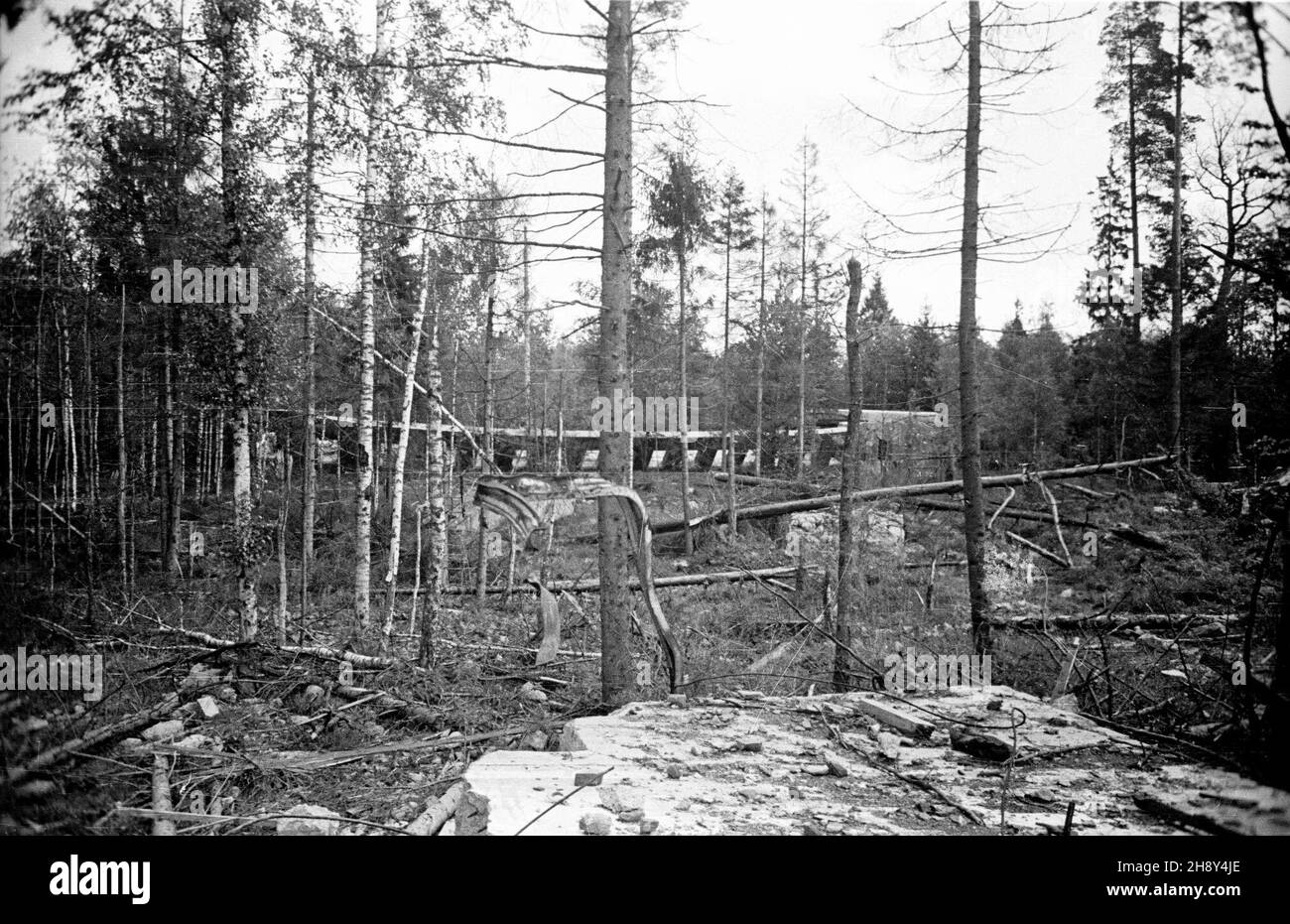 Kêtrzyn, 1946-06-10. W pobli¿U wsi Gier³o¿ (d. Gerlitz), na terenie ufortyfikowanym zwanym Wilczym Szañcem (niem. Wolfsschanze), w latach 1941-1944 mieœci³a siê tajna kwatera g³ówna Adolfa Hitlera i Naczelnego Dowództwa Si³ Zbrojnych III Rzeszy. NZ. Ruiny Bunkra na terenie Wilczego Szañca. pw PAP/Jerzy Baranowski Ketrzyn, 10. Juni 1946. Die Wolfsschanze-Feldzentrale von Adolf Hitler und das Oberkommando der 3rd Reichswehr in der Nähe der Ortschaft Gierloz (Fomer Gerlitz) in den Jahren 1941-1944. Im Bild: Ruinen eines Bunkers an der Wolfsschanze. pw PAP/Jerzy Baranowski Stockfoto