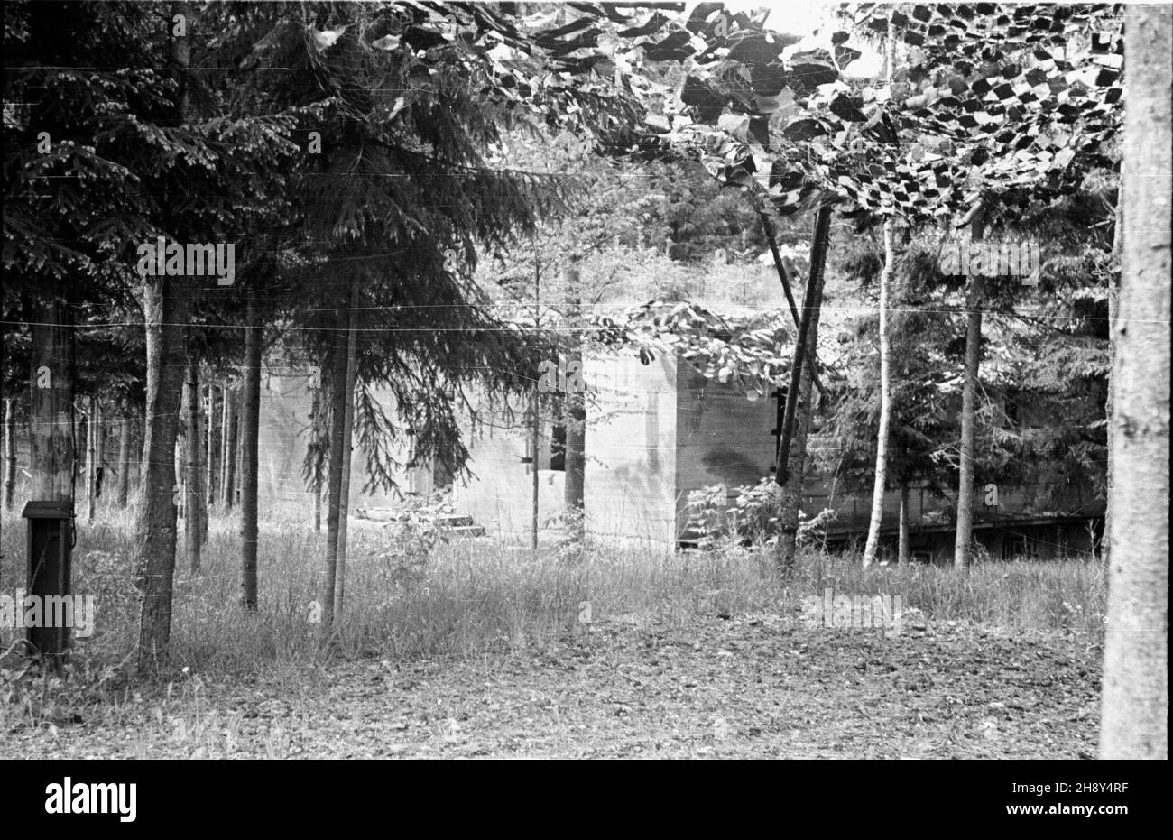 Kêtrzyn, 1946-06-10. W pobli¿U wsi Gier³o¿ (d. Gerlitz), na terenie ufortyfikowanym zwanym Wilczym Szañcem (niem. Wolfsschanze), w latach 1941-1944 mieœci³a siê tajna kwatera g³ówna Adolfa Hitlera i Naczelnego Dowództwa Si³ Zbrojnych III Rzeszy. NZ. Ruiny Bunkra na terenie Wilczego Szañca. pw PAP/Jerzy Baranowski Ketrzyn, 10. Juni 1946. Die Wolfsschanze-Feldzentrale von Adolf Hitler und das Oberkommando der 3rd Reichswehr in der Nähe der Ortschaft Gierloz (Fomer Gerlitz) in den Jahren 1941-1944. Im Bild: Bunkerruinen an der Wolfsschanze. pw PAP/Jerzy Baranowski Stockfoto