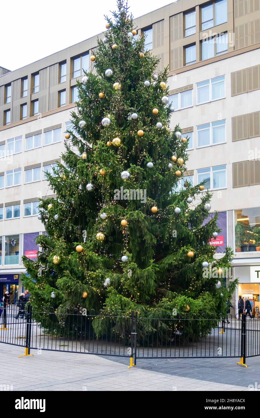 Hoher ornamentierter Weihnachtsbaum aus norwegischer Fichte in der Church Street in Liverpool Stockfoto