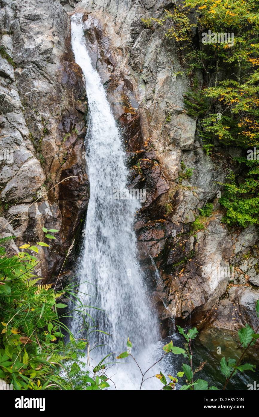 Glen Ellis Falls am Ellis River in Pinkham Notch, New Hampshire, USA. Stockfoto