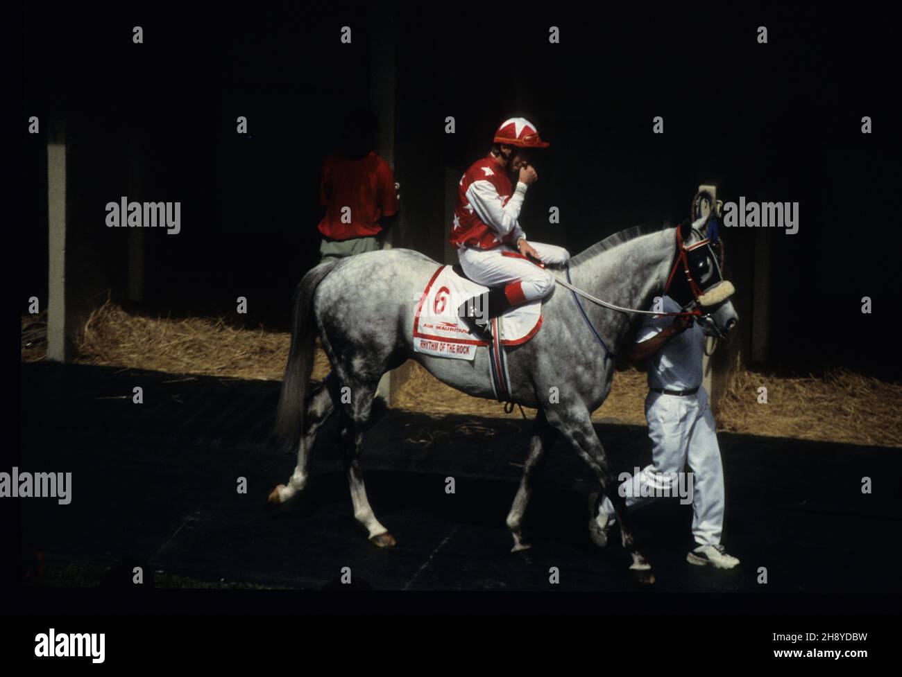 Ein Rennpferd und sein Jockey werden von einem Stallmann zum Beginn der Rennstrecke von Port Louis geführt. Stockfoto