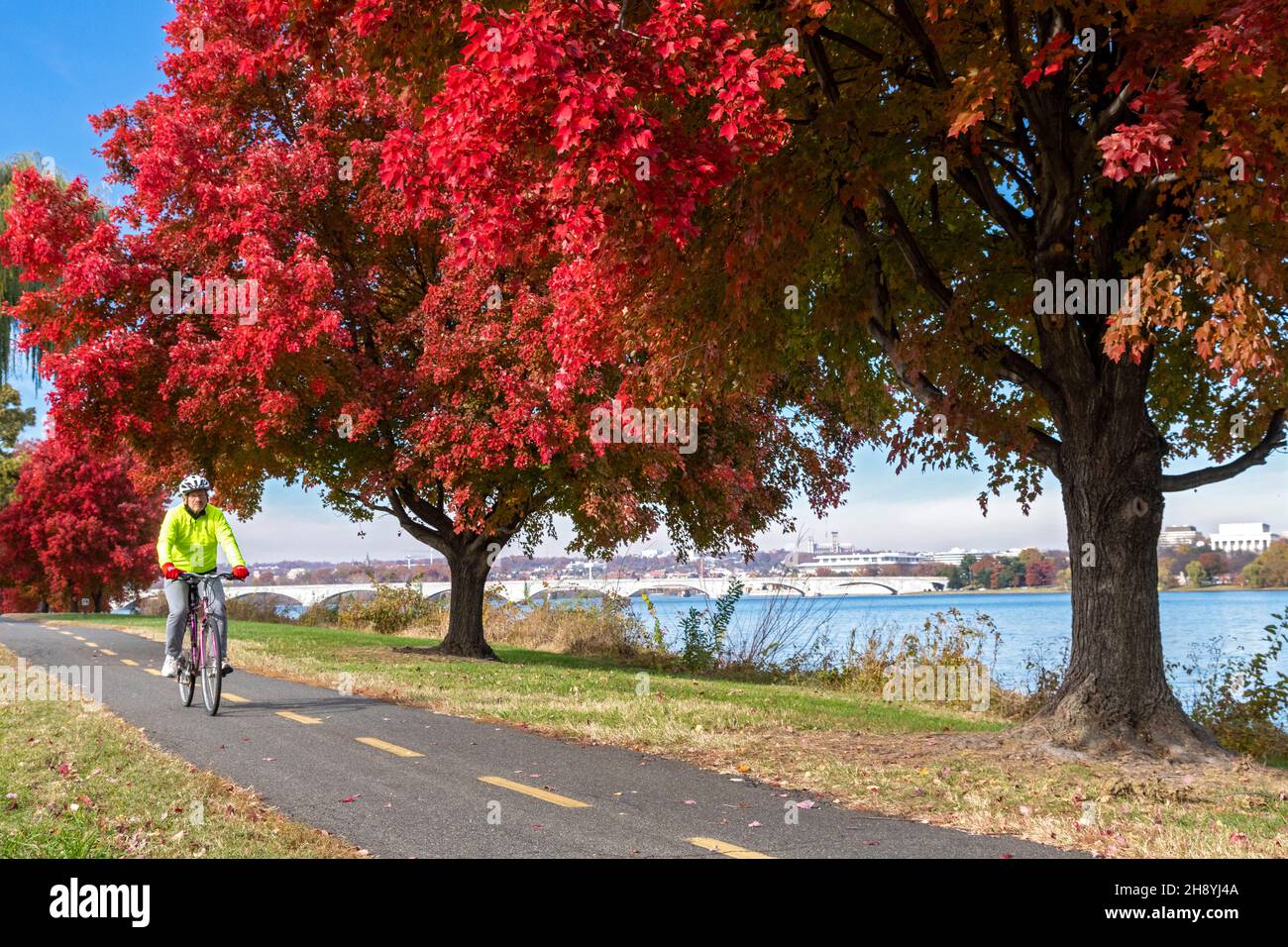 Arlington, Virginia - John West, 75, fährt sein Fahrrad entlang des ausgedehnten Netzes von Wanderwegen, die den Potomac River in Washington, DC und Vorstadt V säumen Stockfoto