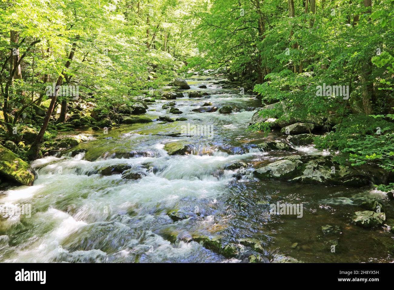 Pigeon River, Tennessee Stockfoto