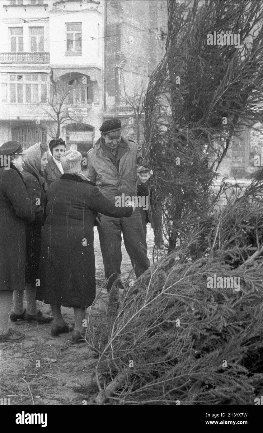 Warszawa, 1946-12. Przedœwi¹teczne zakupy mieszkañców stolzig. NZ. studenci Uniwersytetu Warszawskiego sprzedaj¹ choinki na Pl. Zbawiciela. po/ms PAP/Stanis³aw D¹browiecki Dok³adny dzieñ wydarzenia nieustalony. Warschau, Dezember 1946. Warschauer Einwohner einkaufen vor Weihnachten. Im Bild: Studenten der Warschauer Universität verkaufen Weihnachtsbäume auf dem Zbawiciela-Platz. po/ms PAP/Stanislaw Dabrowiecki Stockfoto